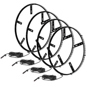 Oracle Lighting LED Illuminated Wheel Rings White - 4215-001